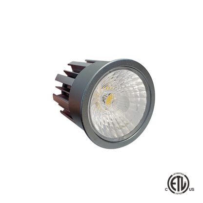Saffire LED Light & Power Supply - 8 watt