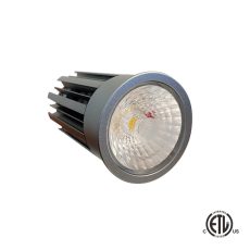 Saffire LED Light & Power Supply - 12 watt